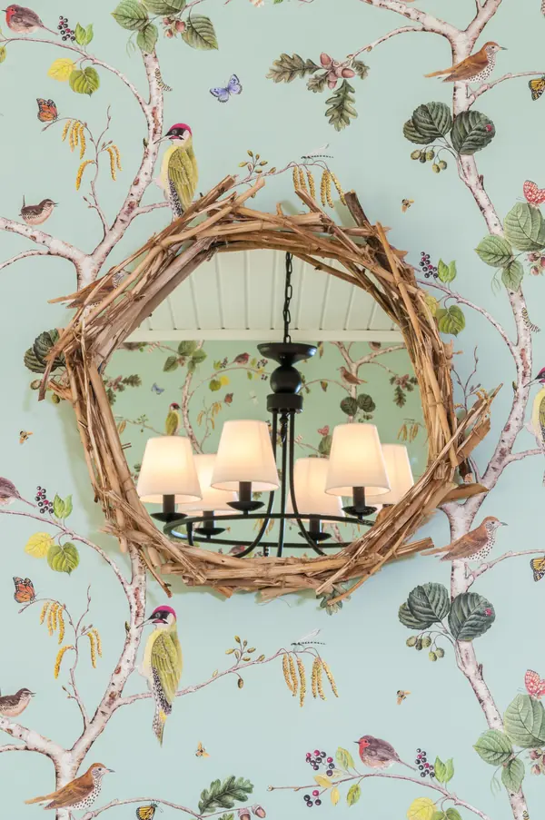 Проект для ТВ-Программы "Фазенда"