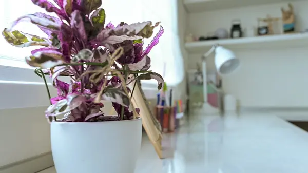 ЖК Рассказово