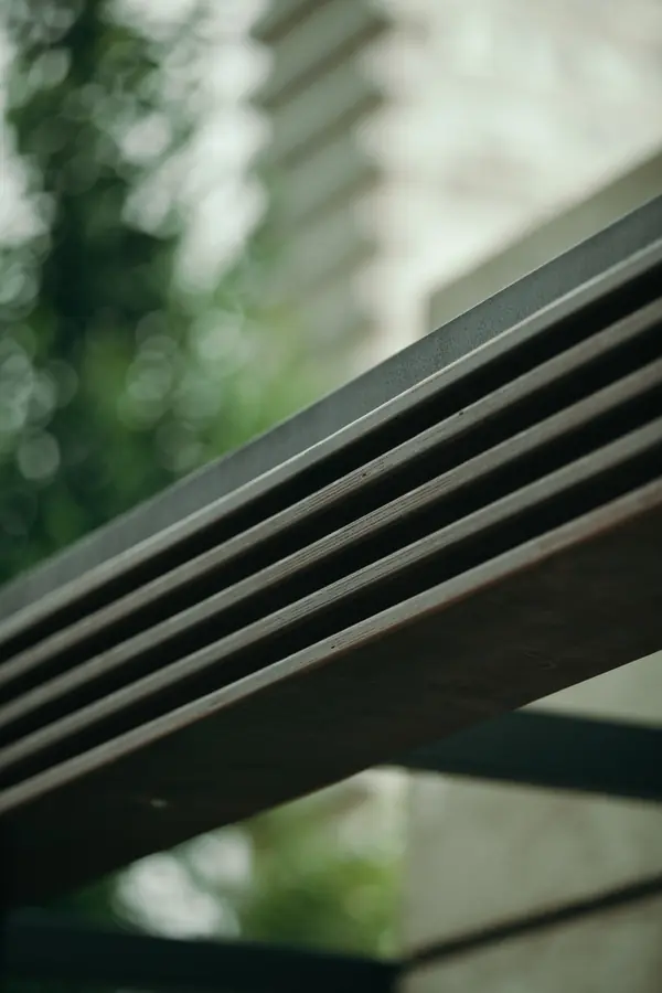 Архитектура природы