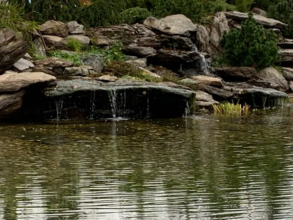 Проект сада с водоемом