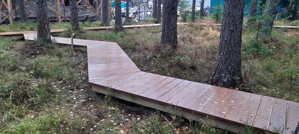 Текущий проект: Охта-Парк