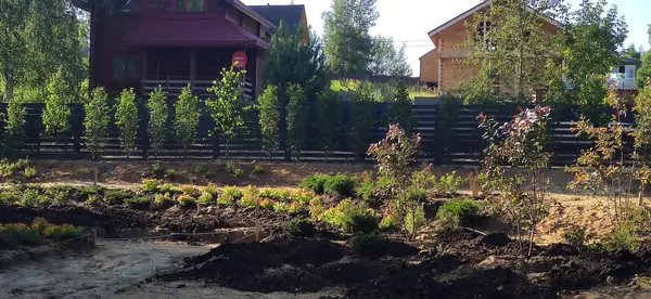 Проект " В тонких линиях "