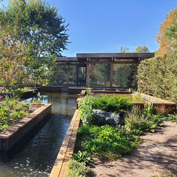 Водоем на участке