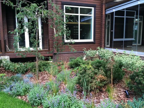 Духанино, 2015