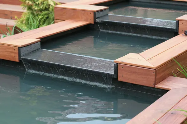 Бельгийка 02