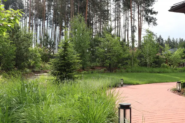 Русский лес