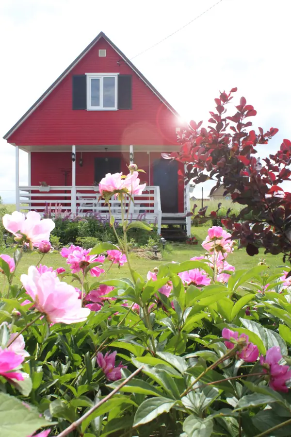 Проект благоустройства и озеленения территории в Подмосковье