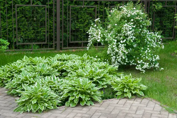 Новый свет, 18 соток