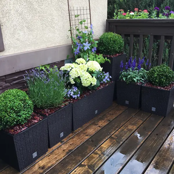 Летний сад на террасе