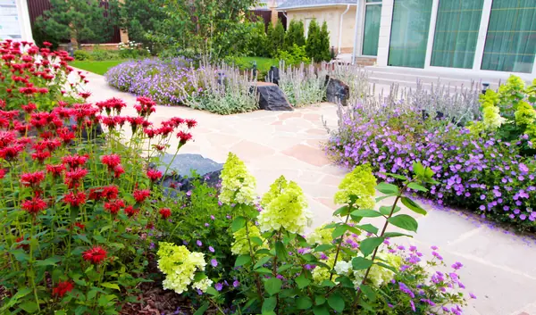 Павлово-2, 2022-2024 г.г.