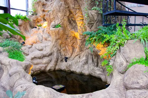 Тарасовка, зимний сад, 2012-2013 гг.