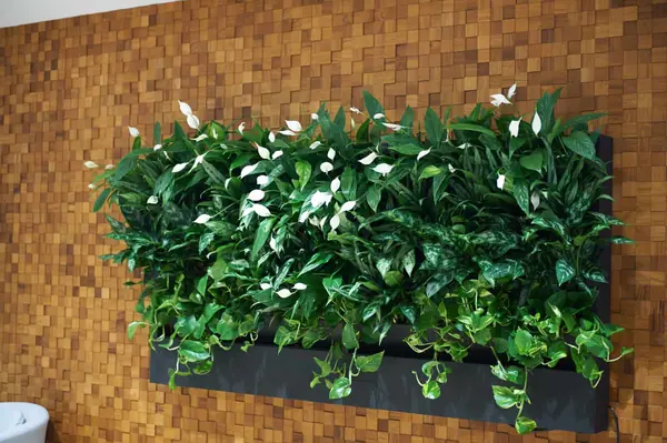 Так рождается красота