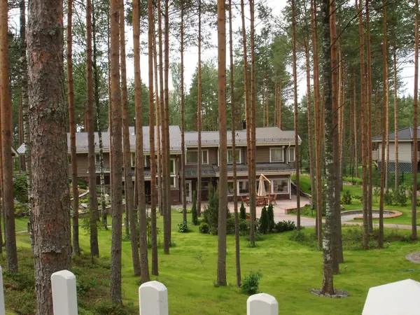 Коттеджный поселок (совместно с Honka)