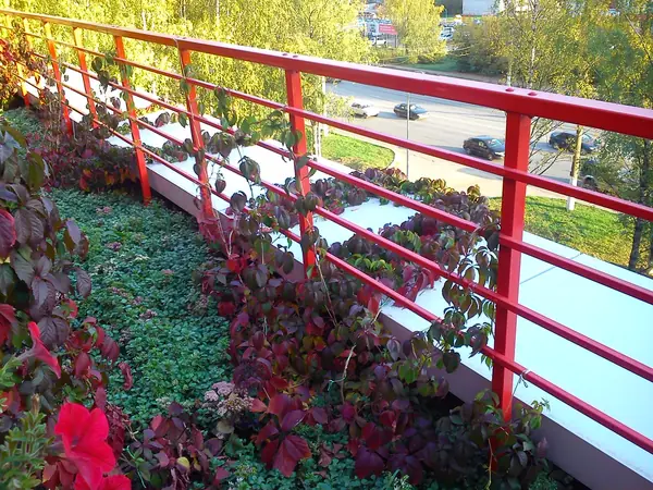 Зелёная крыша гостиницы "Альфа"