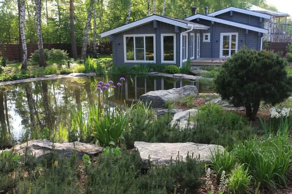 Озеро в лесу. Посёлок Приволье.