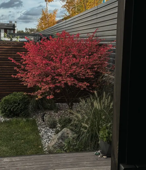 Реализованный проект КП Панорама