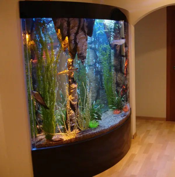 Африканские тропики в России