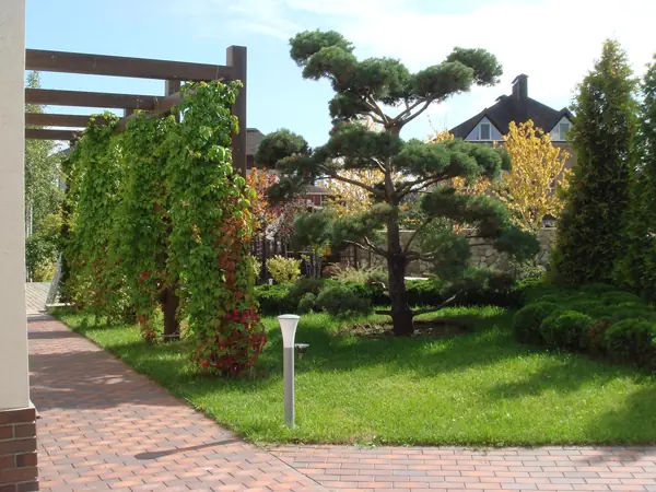 Сад "Динамика движения"