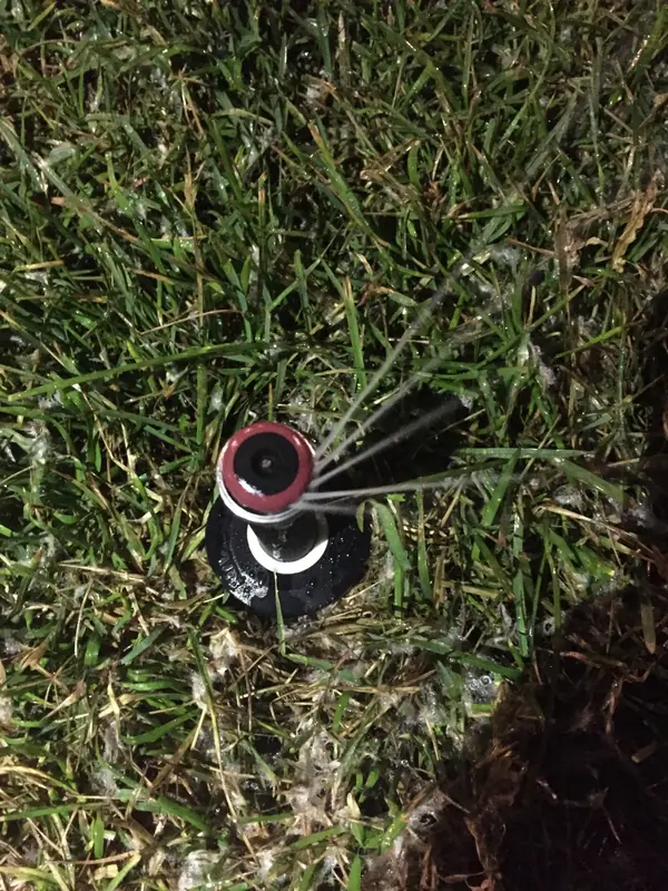 Наши работы