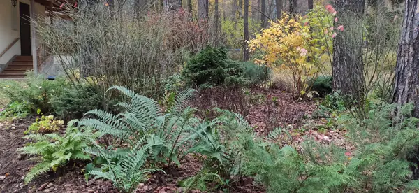 "Дача в Кратово"