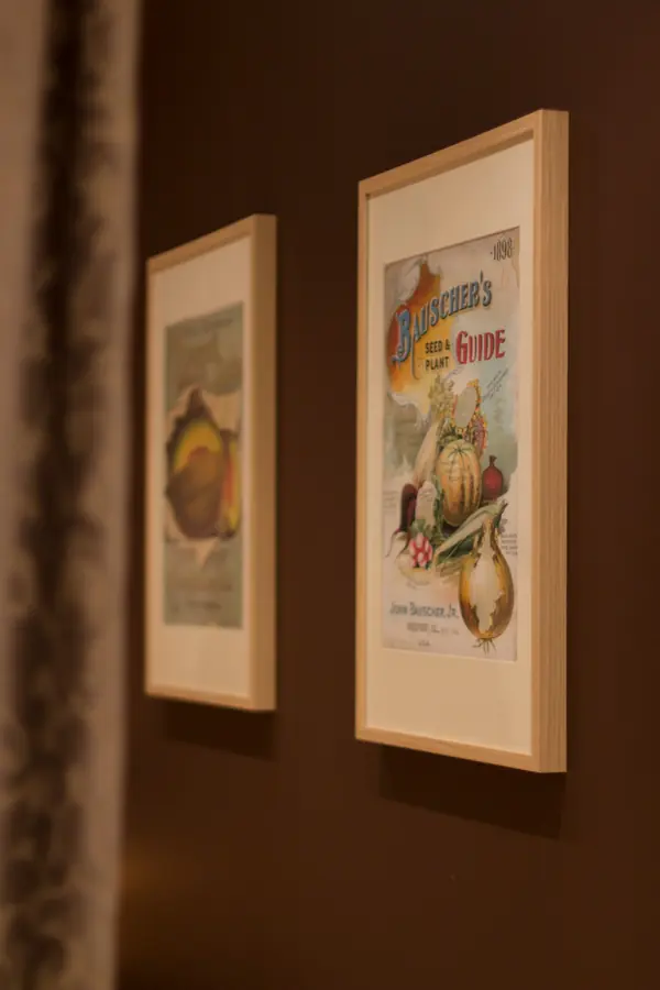 Квартира 60 м2