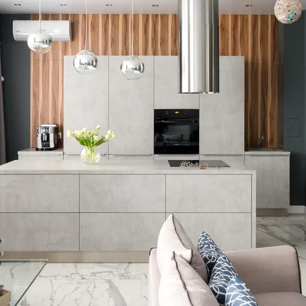 ЛАКОНИЧНЫЙ ПРОЕКТ