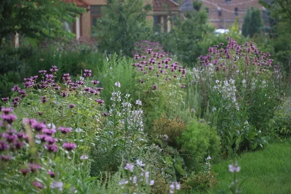 Бельгийская Деревня