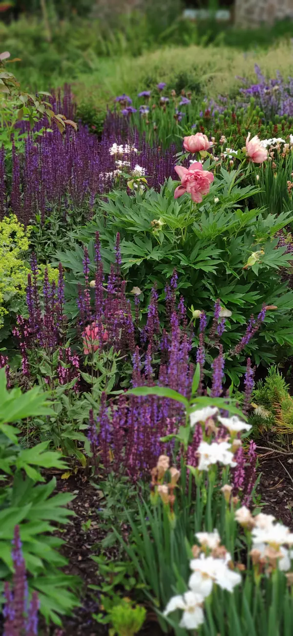 Проект "Волга"