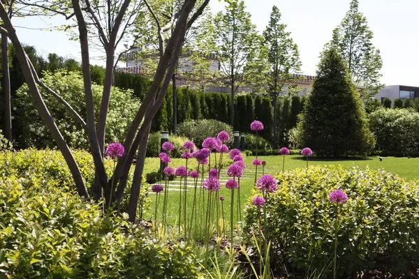 Тихая роскошь