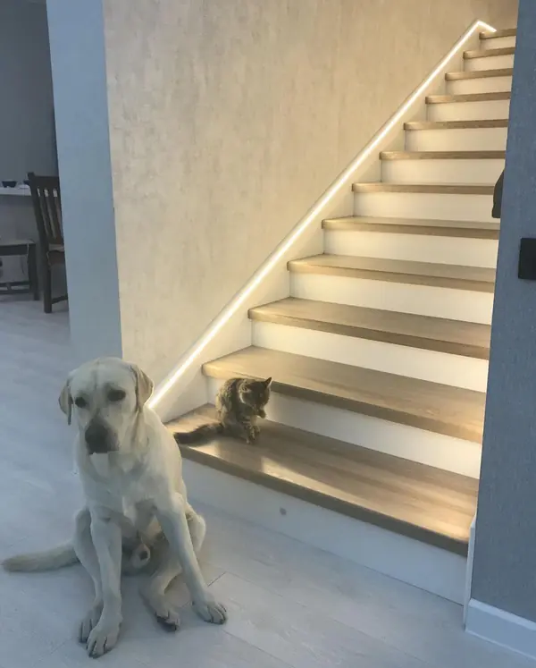 Лестница Веры в Троицком