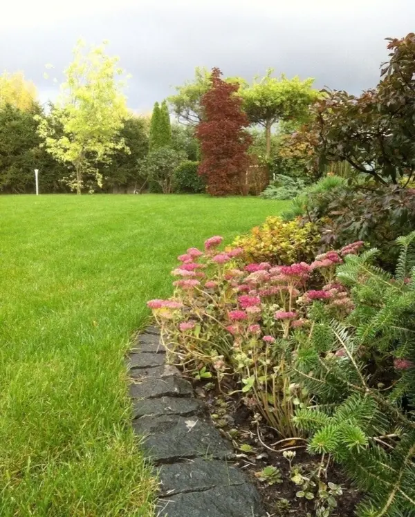 Circles on the ground