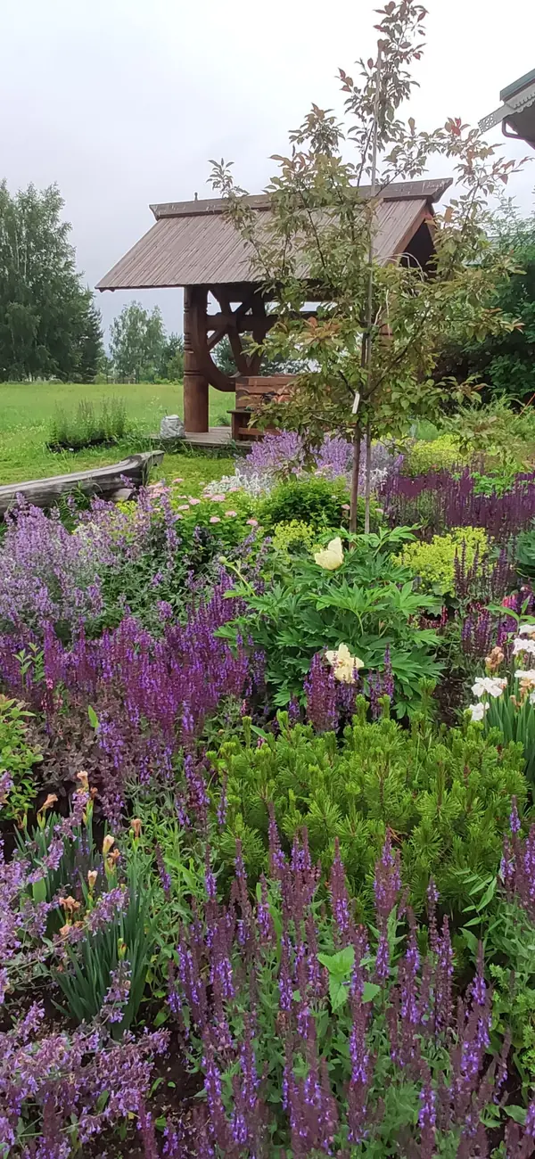 Проект "Волга"