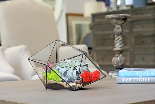 Флорариум "Заколдованный лес"