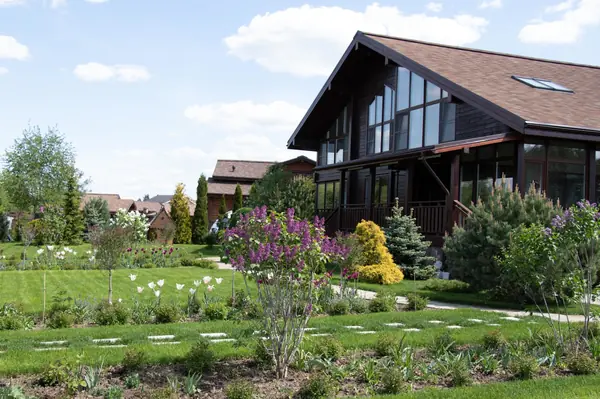 Сосновые берега