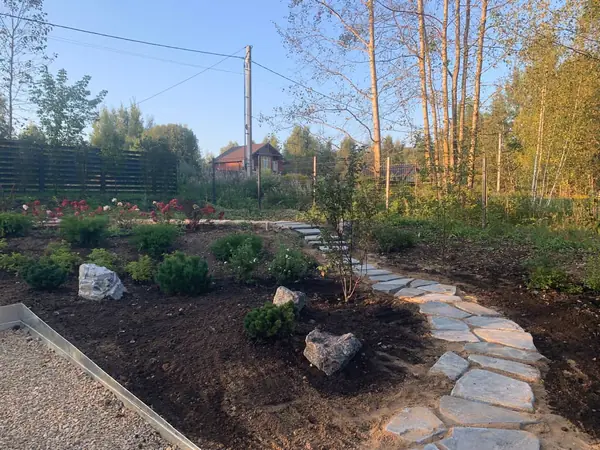 Проект " В тонких линиях "