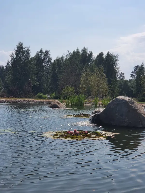 Декоративный водоём в п. Репино (Лен. обл.)