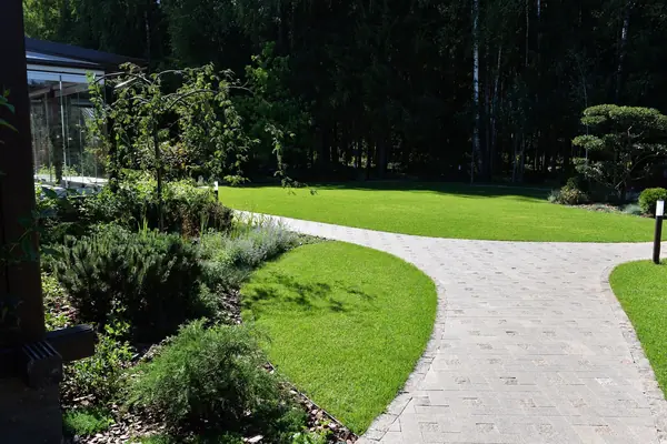 Духанино, 2015