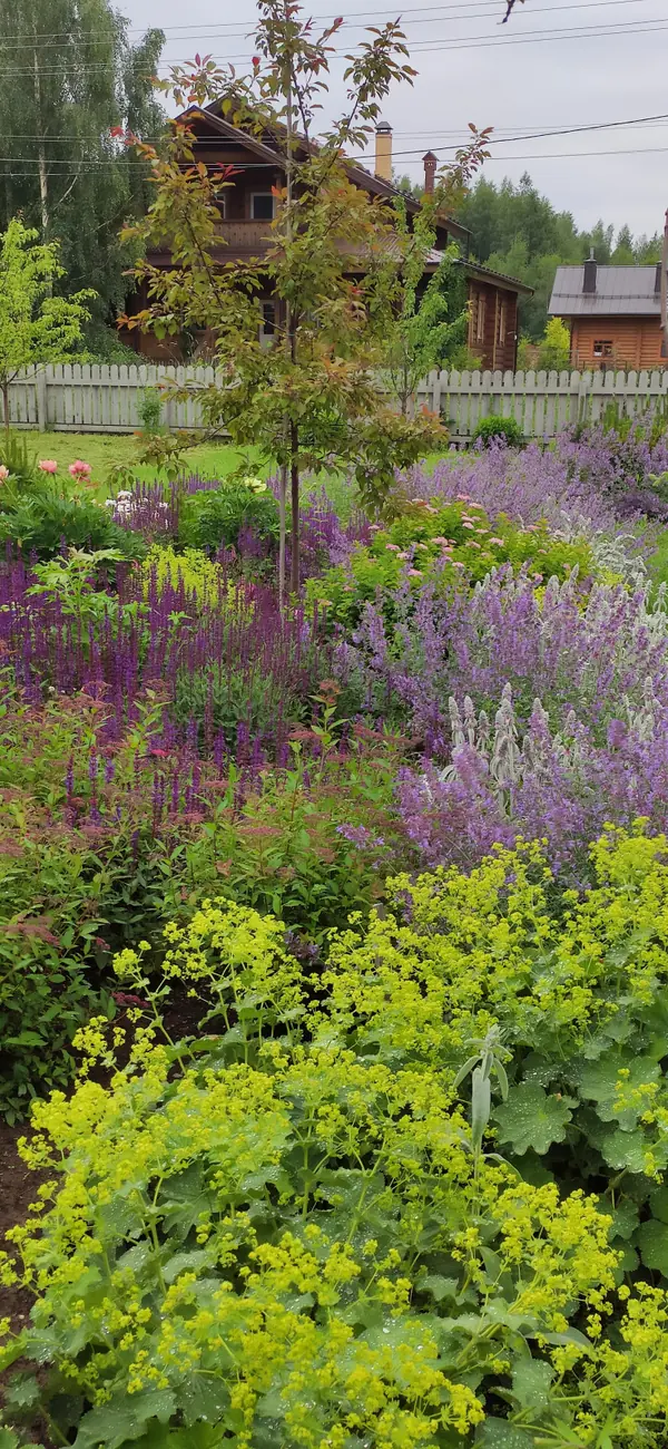 Проект "Волга"