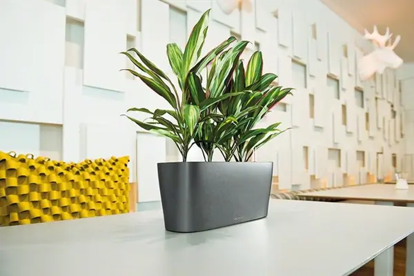 Шик на небольшой площади