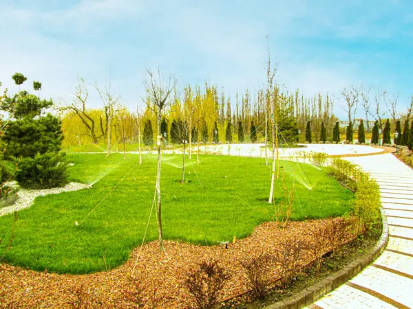 Обустройство участка в Приморском районе, Санкт-Петербурга