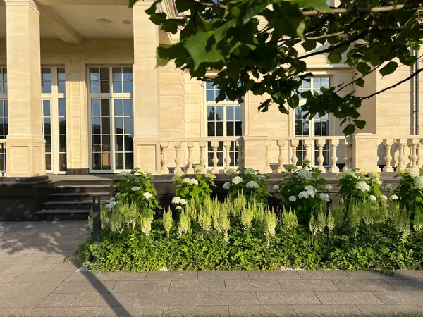 Классика вне времени