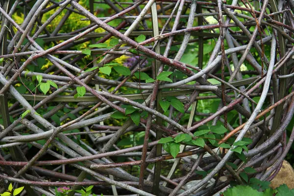 Modern house with a big flowerbad with a sphere