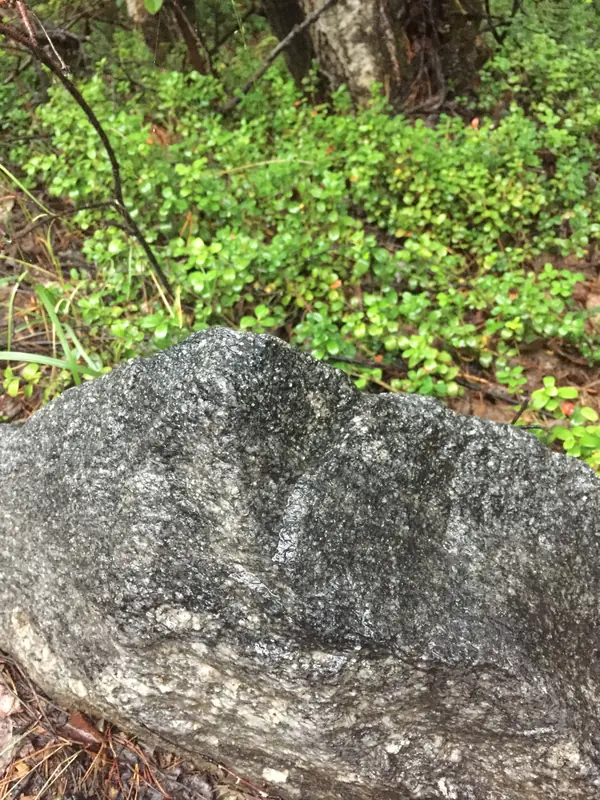 Декоративные камни используемые в ландшафтном дизайне