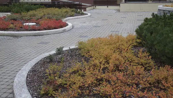 Сад на крыше паркинга