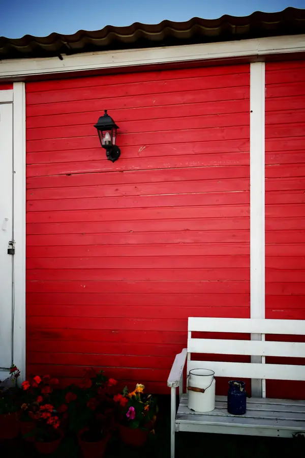 Проект благоустройства и озеленения территории в Подмосковье