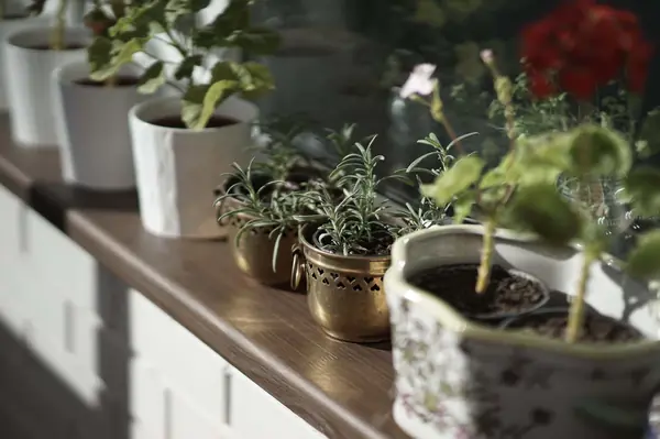 Квартира в деревенском стиле в ЖК "Рублевское предместье"