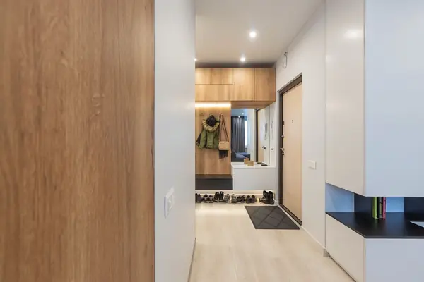 Spacious entrance hall in modern style