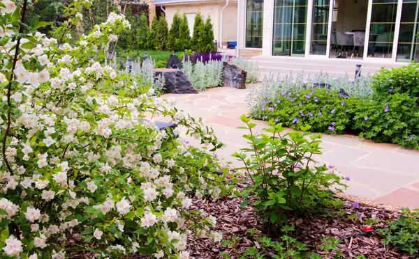 Павлово-2, 2022-2024 г.г.