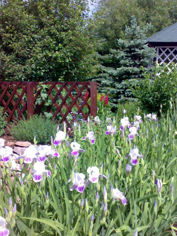 Усадебный семейный сад