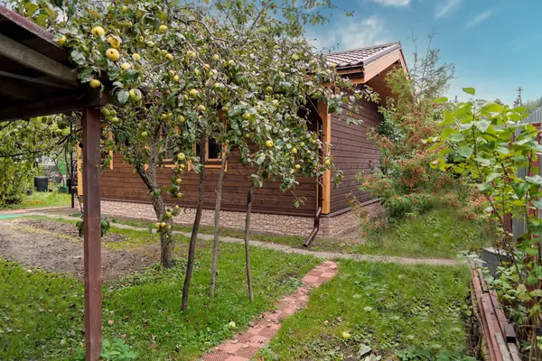 Проект "Янина" /Фасад 3